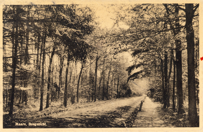 17898 Gezicht op een weg door het bos te Maarn.